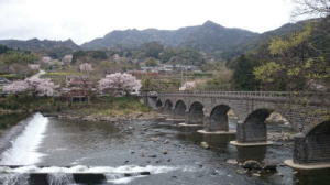 耶馬海橋　春景色